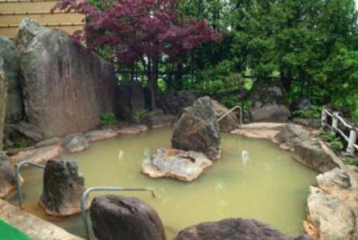 фото отеля Shirogane Onsen Hotel
