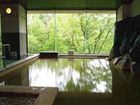 фото отеля Shirogane Onsen Hotel
