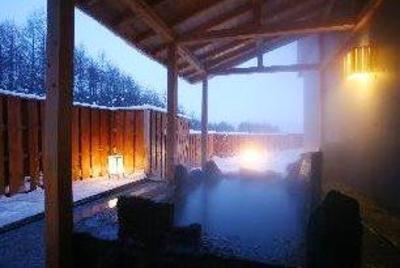 фото отеля Furano Hotel