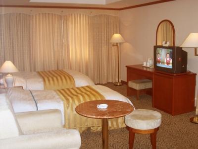 фото отеля Sejong Hotel Chunchon