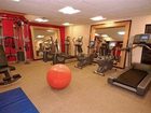 фото отеля Sheraton Suites Orlando Airport