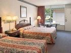 фото отеля Super 8 Motel Dillon (South Carolina)