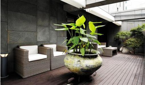 фото отеля JS Boutique Hotel