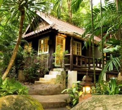 фото отеля Rain Forest Resort