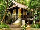 фото отеля Rain Forest Resort