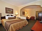 фото отеля Best Western Plus Sam Houston Inn & Suites