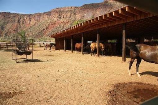 фото отеля Red Cliffs Lodge Moab