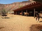 фото отеля Red Cliffs Lodge Moab
