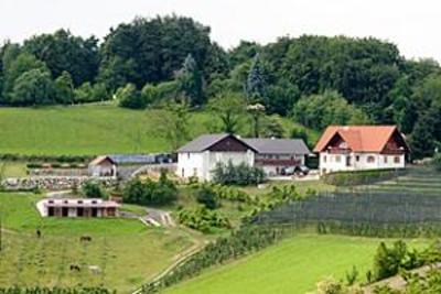 фото отеля Bauernhof Schwalbenhof