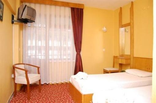 фото отеля Hotel Arteka