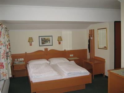 фото отеля Hotel Goldener Stern Abtenau