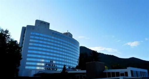 фото отеля New Furano Prince Hotel