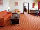 фото отеля Holiday Inn Express Hotel & Suites Mount Pleasant (Texas)