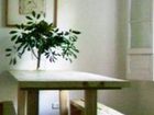 фото отеля Hostal Luna Calypso