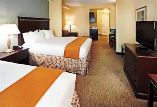 фото отеля Holiday Inn Express Hotel & Suites Smyrna-Nashville Area