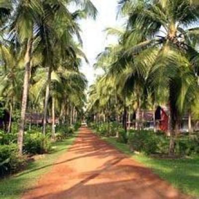 фото отеля Summer Sands Beach Resort