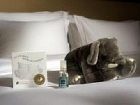 фото отеля BEST WESTERN Premier Hotel Slon