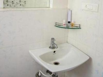фото отеля Hotel White Parrot