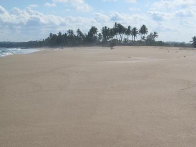 фото отеля Lonely Beach Resort Tangalle