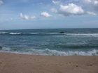 фото отеля Lonely Beach Resort Tangalle