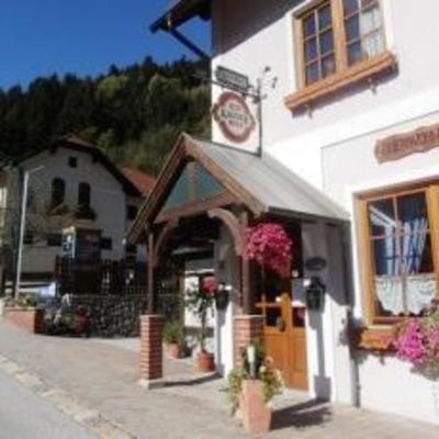 фото отеля Gasthof Dretenpacherhof Trattenbach