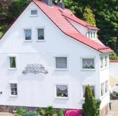 фото отеля Pension Rheingold Garni