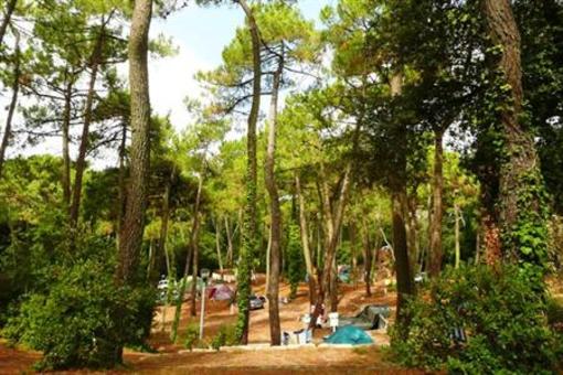 фото отеля Camping Le Bois d'Amour