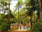 фото отеля Camping Le Bois d'Amour