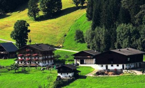 фото отеля Bio Bauernhof Peilberghof Appartement Hollersbach im Pinzgau