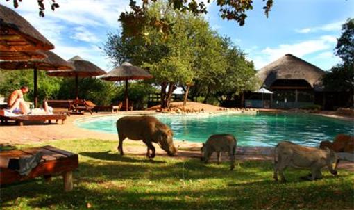 фото отеля Mabalingwe Nature Reserve Lodge Bela Bela