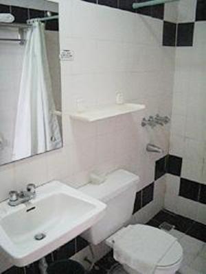 фото отеля Richmond Plaza Hotel