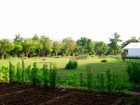 фото отеля Jungle View Resort