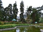 достопримечательность Lloyd Botanical Garden - фото туристов