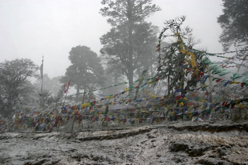достопримечательность Dochula Pass - фото туристов