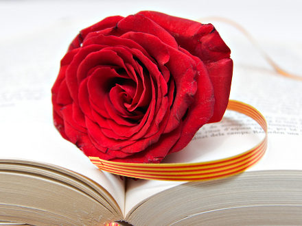 Rose and Book, a tradition in Catalonia, La Diada de Sant Jordi, Spain