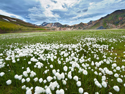 Landmannalaugar, Iceland