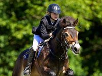 Фестиваль пони проходит в Национальном парке Exmoor Фестиваль пони проходит в Национальном парке Exmoor