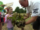 Ежегодный чемпионат по "забегу" улиток прошел в Англии - Sue Ryder and Racer II, World Snail Racing Championships 2013, Norfolk, England