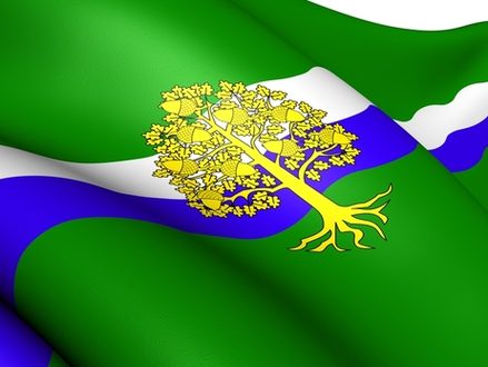 Flag of Nottinghamshire County Council, England