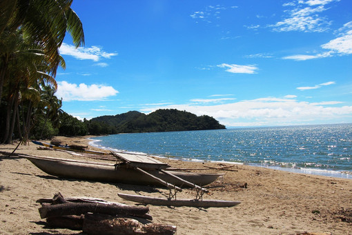 Поклонники сериала Star Trek изрублены в Папуа Новая Гвинея - Black Cat Trail, Morobe Province, Papua New Guinea (photo Ben Wilson /benjaminjwilson, Flickr)