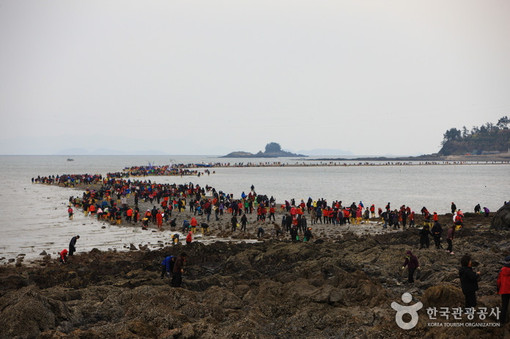 The 36th Jindo Miracle Sea Road Festival - Jindo Miracle Sea Road Festival, Jeollanam-do