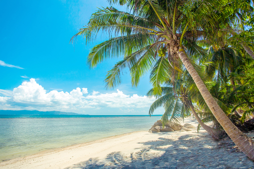 Лучшие места отдыха: Январь, Февраль (ч.1) - Koh Phangan, Thailand