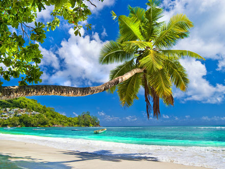 Beach, Seychelles