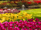 Выбираем маршрут: Нидерланды, Парк цветов Кёкенхоф - Fountain in the Keukenhof park, Netherlands