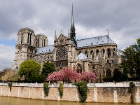 Notre Dame de Paris вновь радует туристов звоном колоколов Notre Dame de Paris вновь радует туристов звоном колоколов