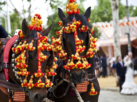 Horses decked in the fair in Sevilla, Spain
