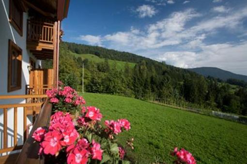 фото отеля B&B Affittacamere Larix