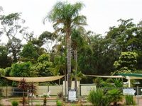 Mallacoota's Shady Gully Caravan Park