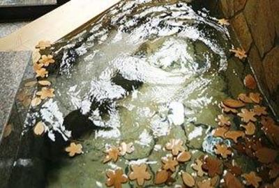 фото отеля Ryokan Kato