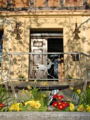 фото отеля Gasthof Zum Goldenen Hirschen